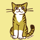 ねこ×はん＠