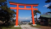 とり