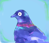 はとまる