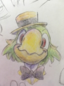 ピーパーポポ