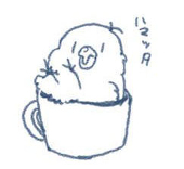 きゃべつ