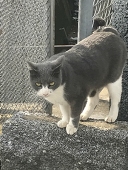 垢