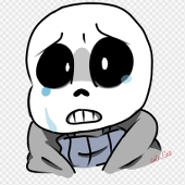 coco_cat