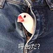 拉夫拉菲