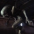 Xenomorph