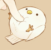 小零度在翻滚