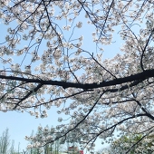HANA