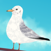 のらきち