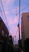 ハルチカ