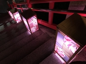 朔夜