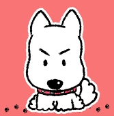 梨恵(なしえ)