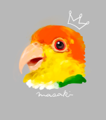 眞咲
