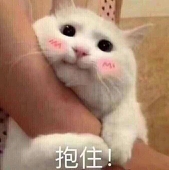 浣花影
