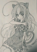 signallia@三パシ