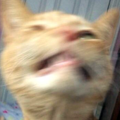 riki6