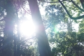 亜玖海瑞月