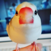 あとり
