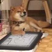 犬佬Dogephalus