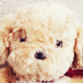 rocca