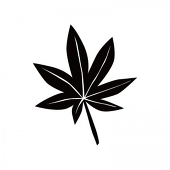 日向