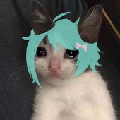 羽