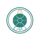 Ｋ-ta