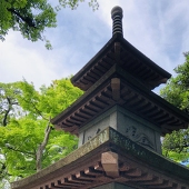 コメット