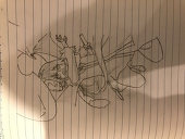 taku