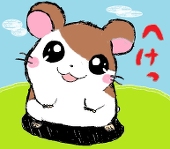 ココ