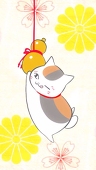 kurage.bosi
