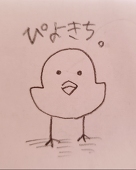 ぴよきち