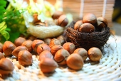 nuts