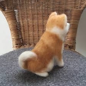 ほーりー