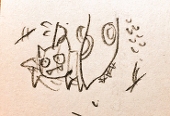Shira