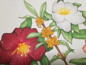 邑葵　巧