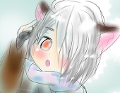 きぬか