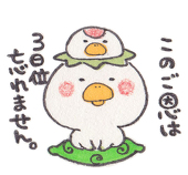 わたなべ はるか
