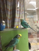宮尾