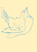 アルカ