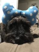 べべべ