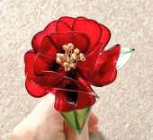 ティシャ