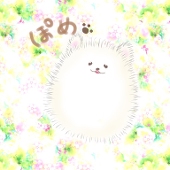 てるき