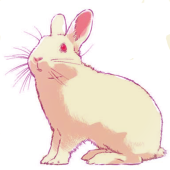 すずり