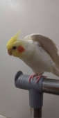 さまさまざま