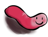 闌尾