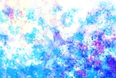こゆき