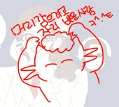 苗猫