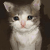 Envie_P1