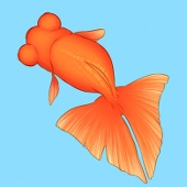 ありんコ