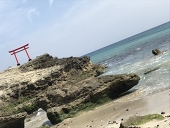 ぽこた